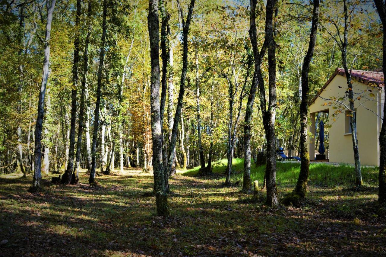 Gite Spa & Nature Saint-Chamassy Екстер'єр фото